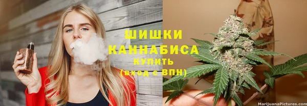 PSILOCYBIN Белоозёрский